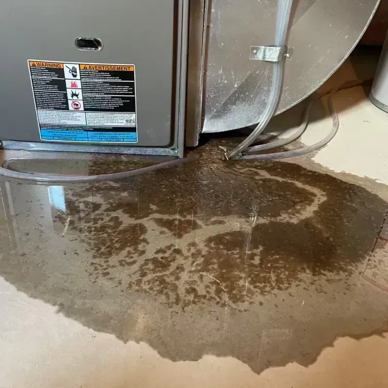 Appliance Leak Cleanup in Delta, CO